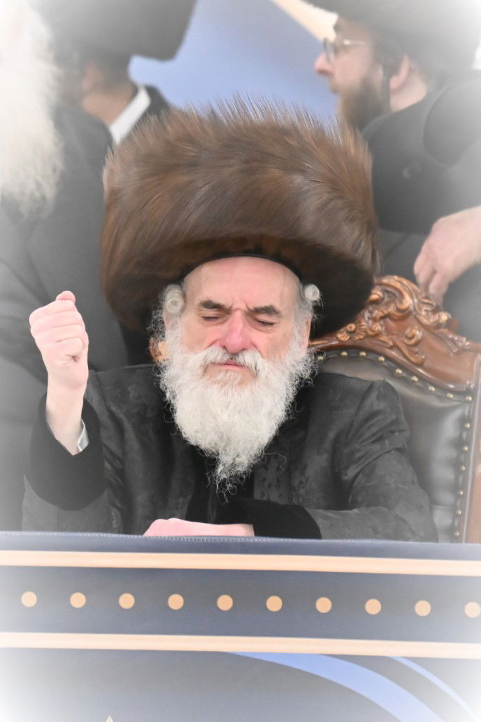 נכדת האדמו"ר מויז'ניץ נישאה בארה"ב • תיעוד