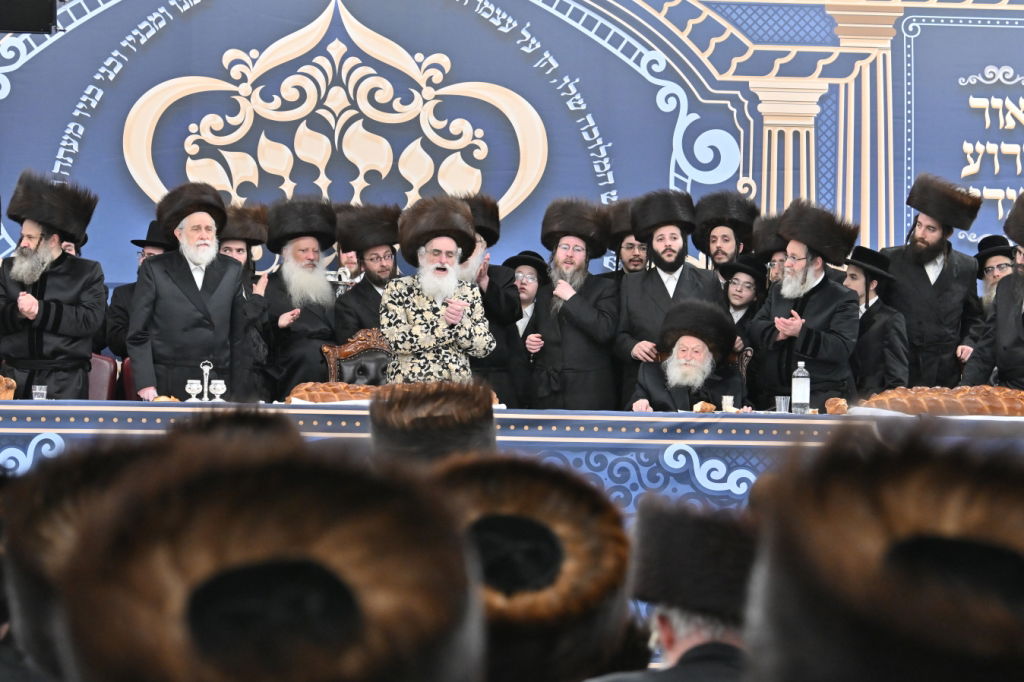 נכדת האדמו"ר מויז'ניץ נישאה בארה"ב • תיעוד