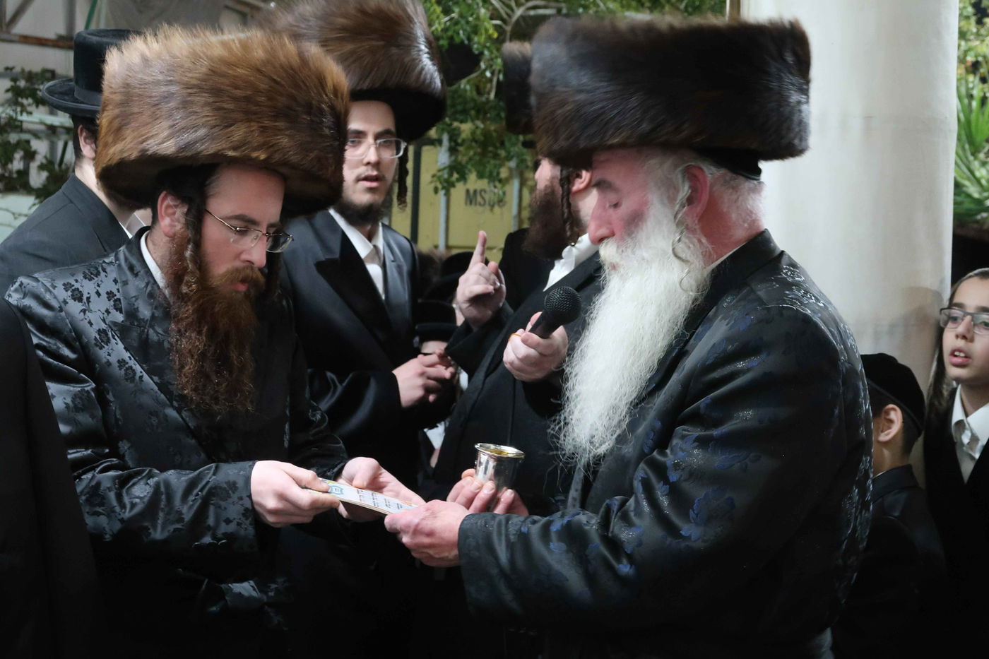 שמחת החתונה בחצרות מאקווא ו'קהל חסידים'