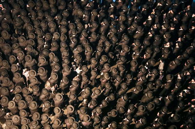 חסידי גור; אילוסטרציה, למצולמים אין קשר לנאמר בכתבה