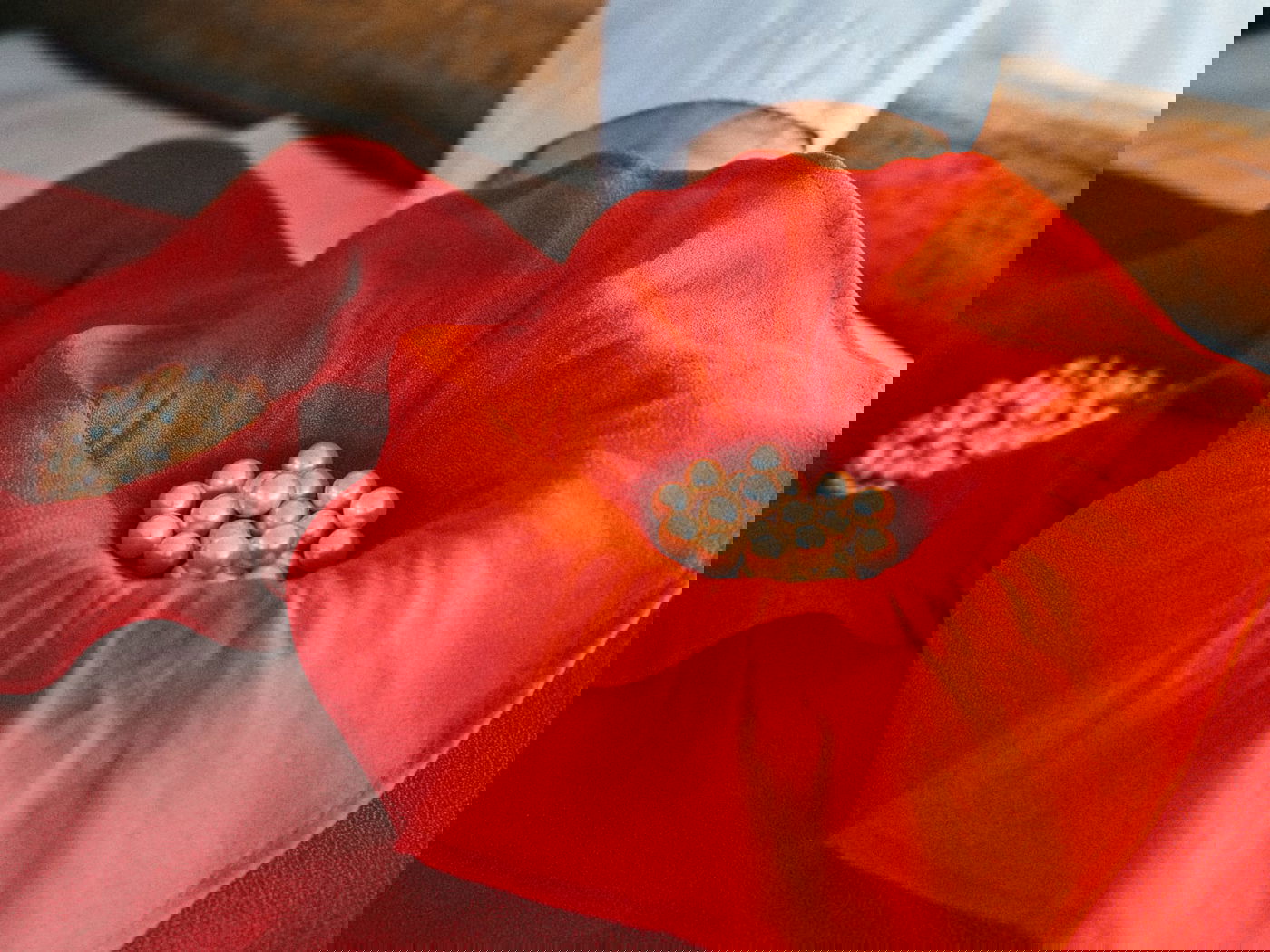 אקסטרים ופנינים: הצד של איחוד האמירויות שלא הכרתם