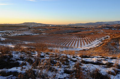 עקב מזג האויר: נזק עצום לגידולי החקלאות