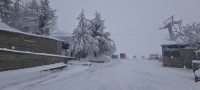 החרמון, הבוקר