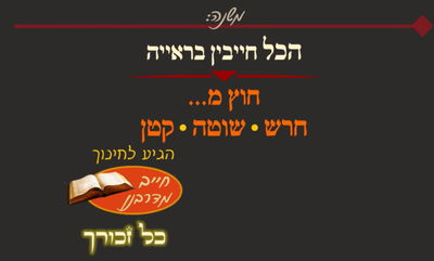 חגיגה ד' • סיכום והמחשה של הדף היומי