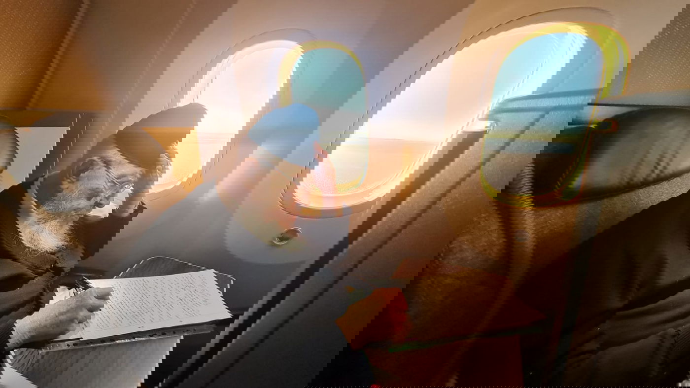 מסע החיזוק של ראש הישיבה בארה"ב • תיעוד