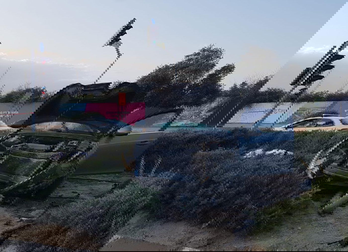 זירת התאןנה