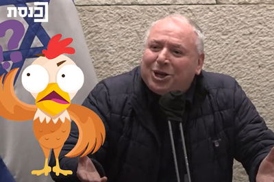 אמסלם במליאה