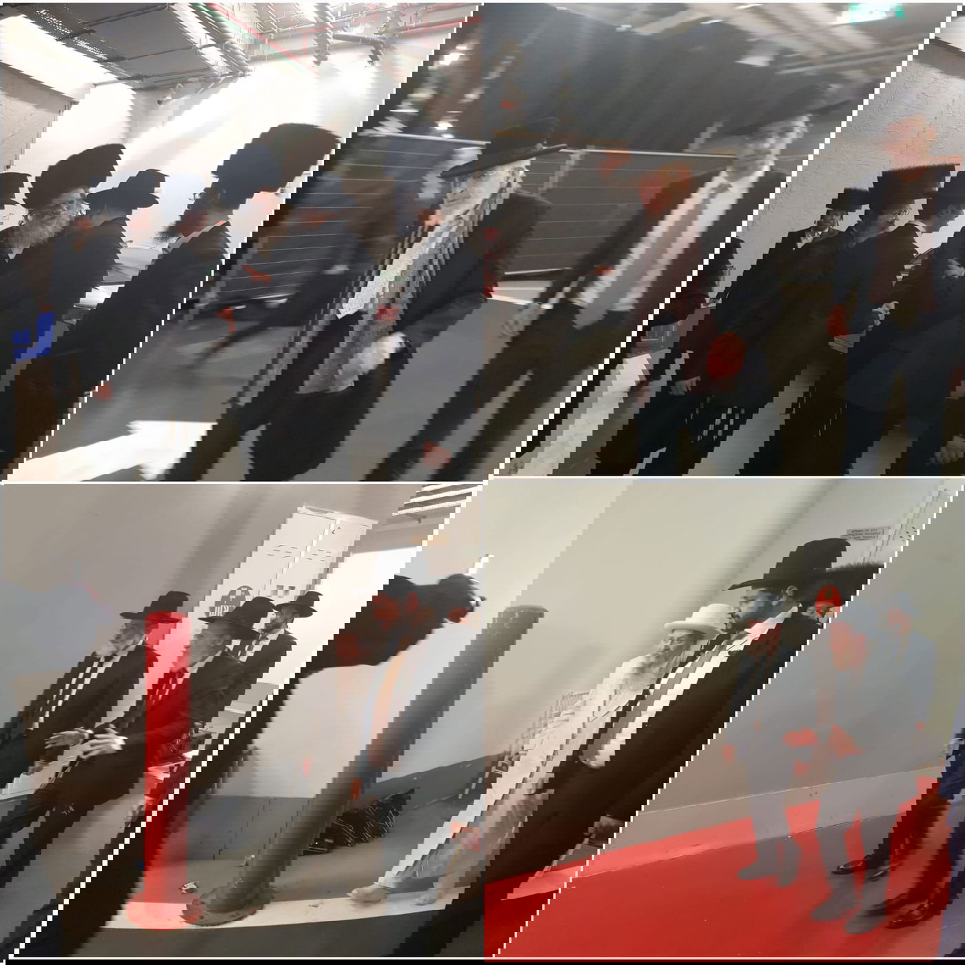 זופניק בכיכר • כל התמונות והנייעס של השבוע