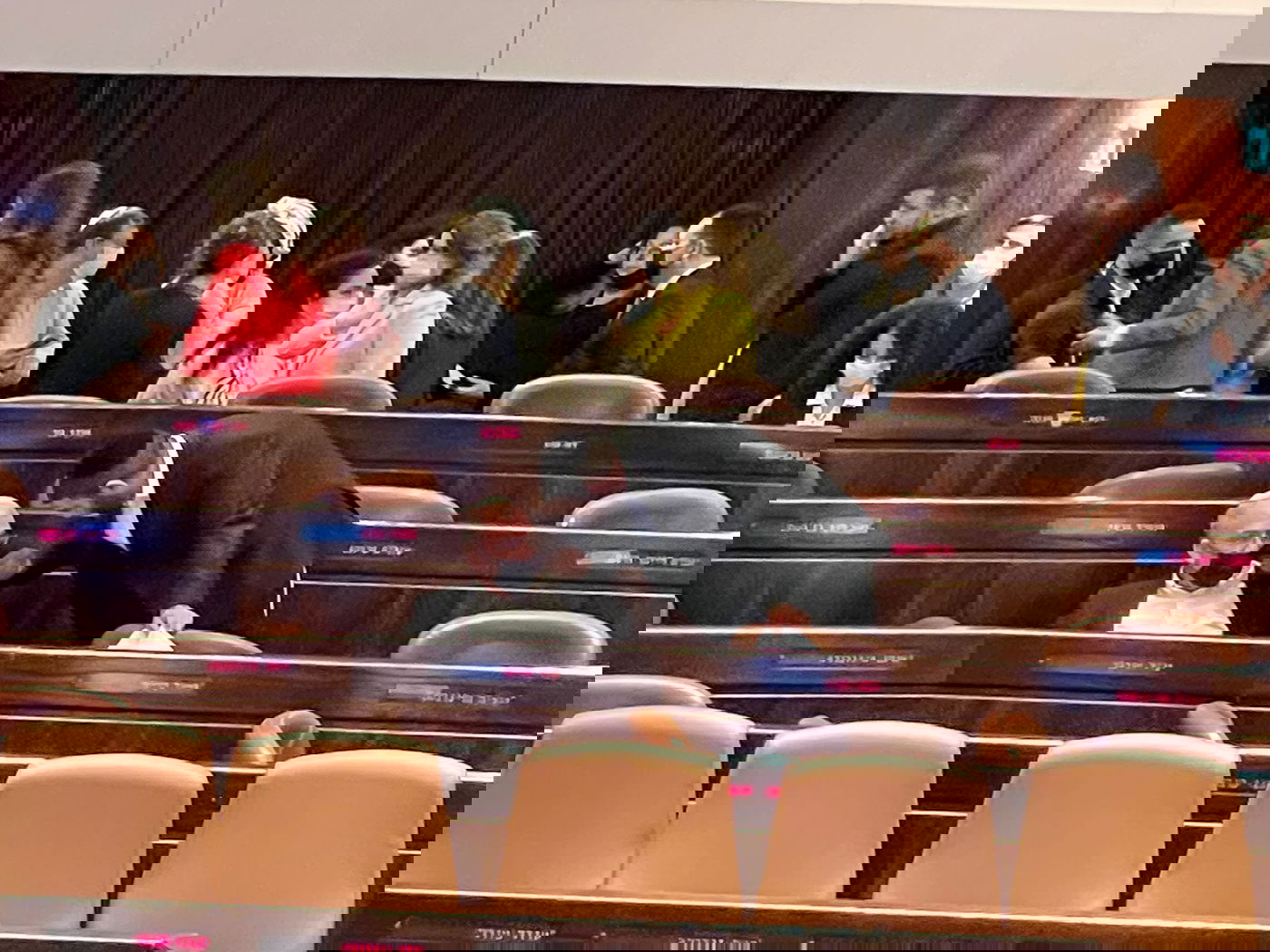 זופניק בכיכר • כל התמונות והנייעס של השבוע