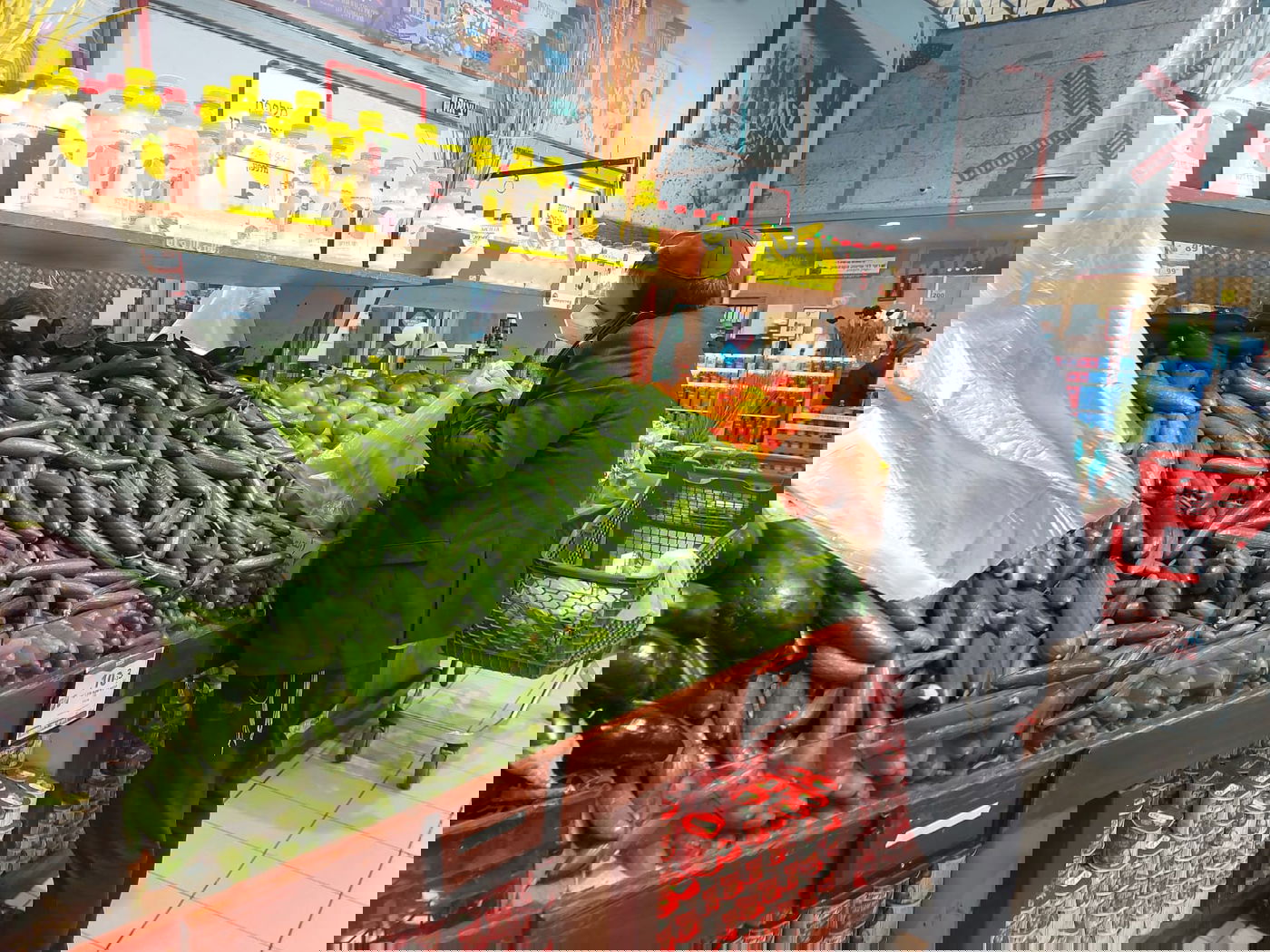 זופניק בכיכר • כל התמונות והנייעס של השבוע