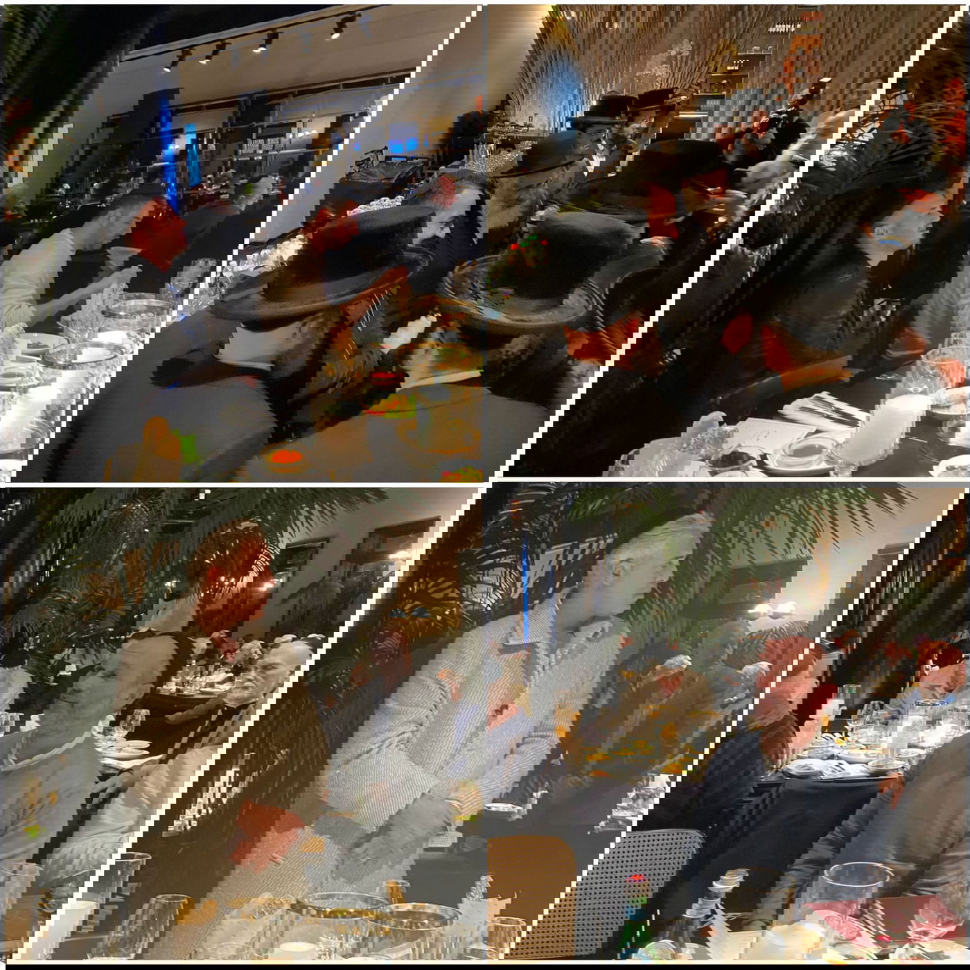 זופניק בכיכר • כל התמונות והנייעס של השבוע