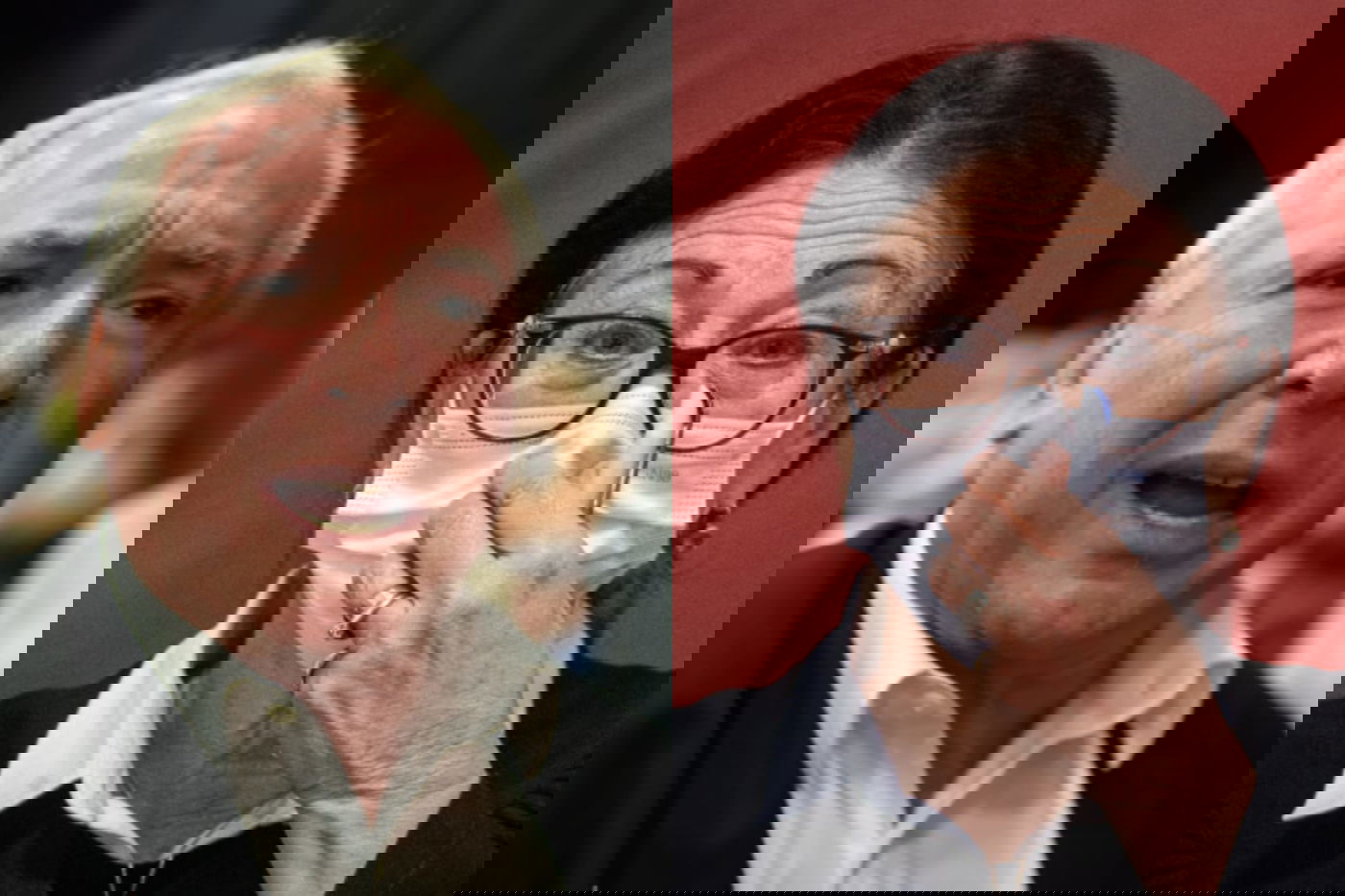 אסתר חיות לצד דוד אמסלם