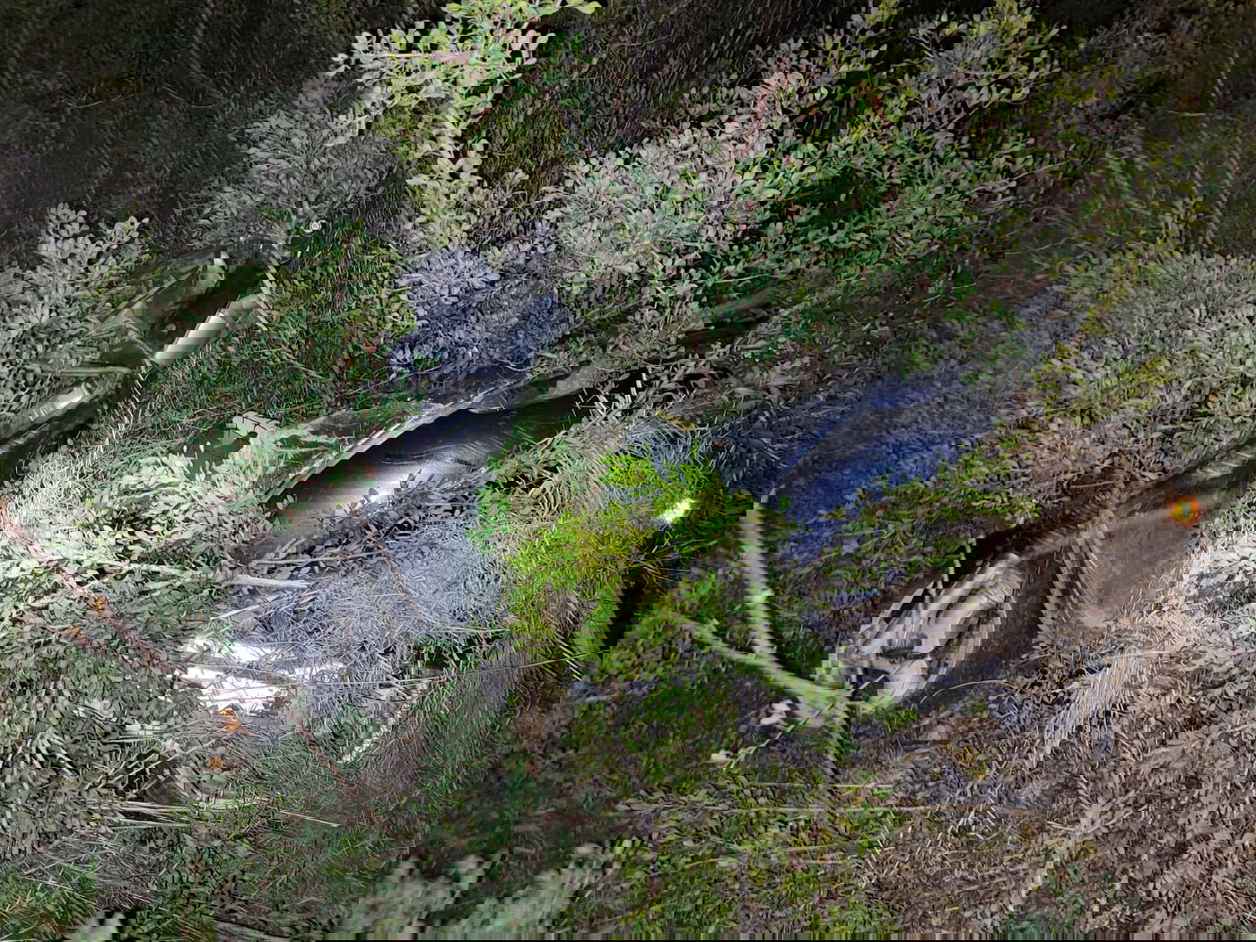 ארבעה פלסטינים נתפסו על חם בגניבת אמצעי לחימה