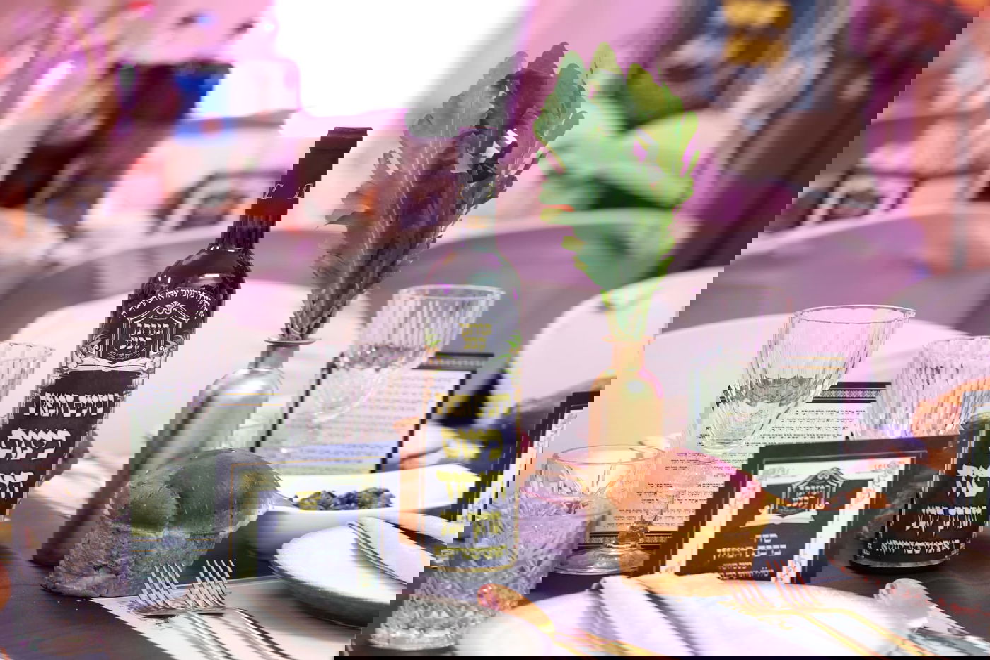 ברחמסטריווקא יסדו רשת כוללים; תיעוד