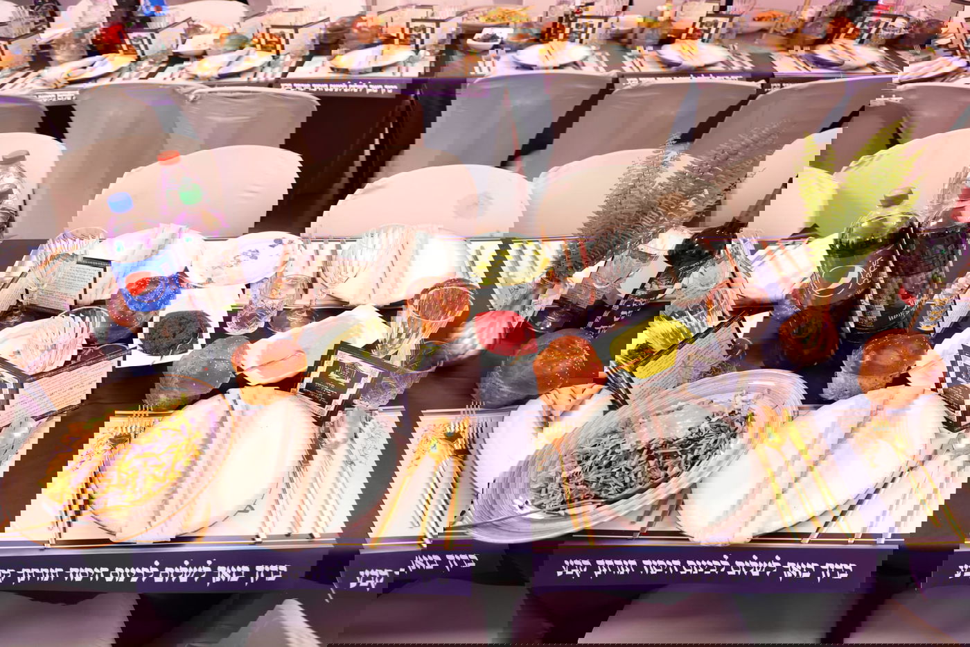 ברחמסטריווקא יסדו רשת כוללים; תיעוד