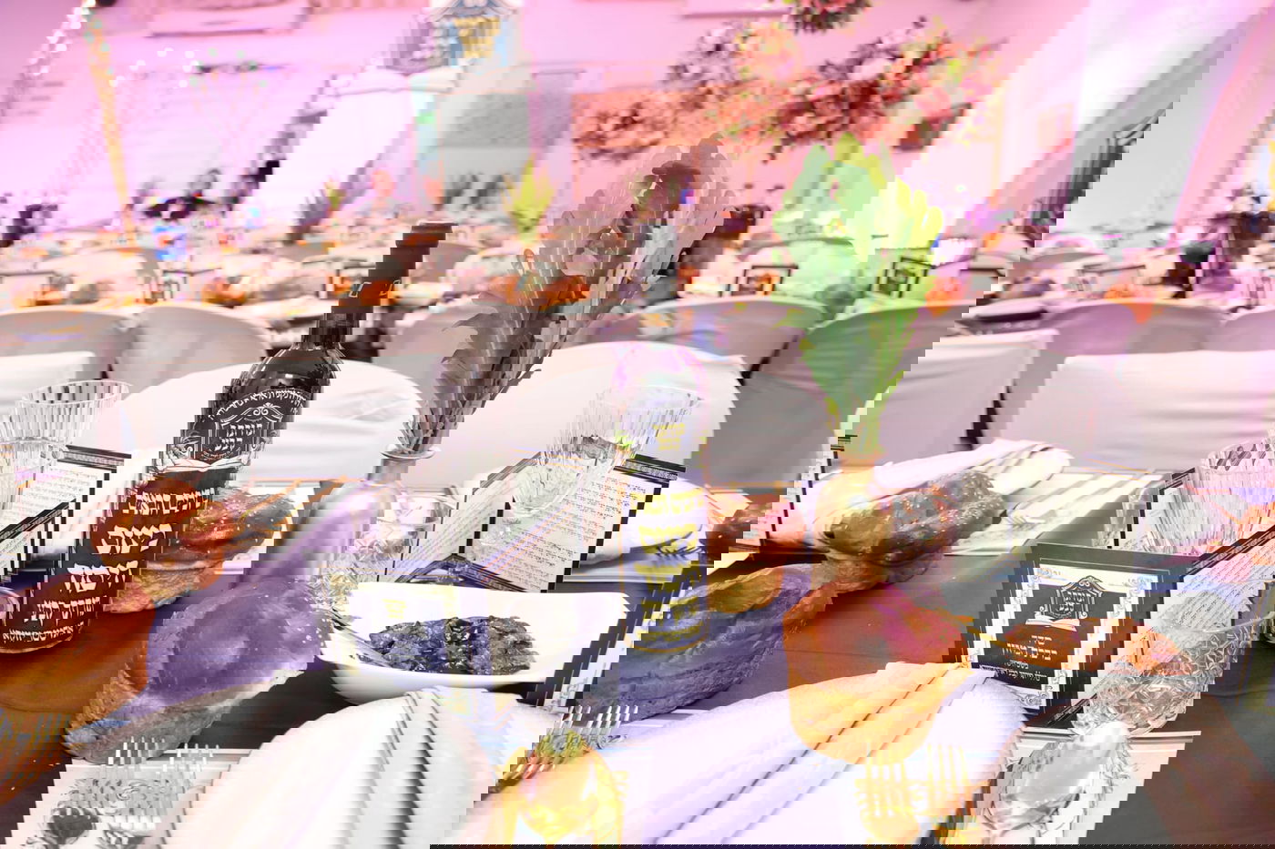 ברחמסטריווקא יסדו רשת כוללים; תיעוד