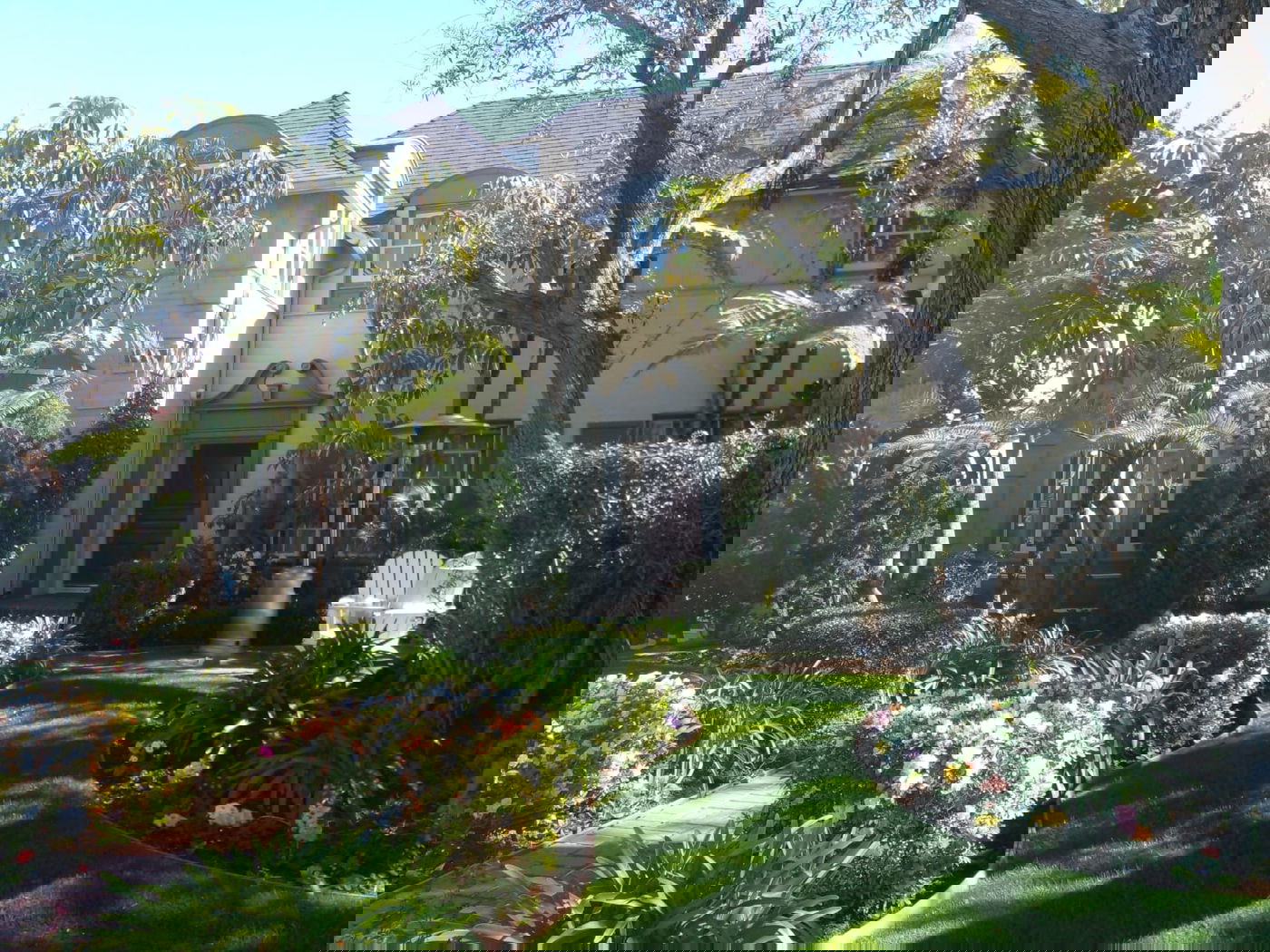 זופניק בכיכר • כל התמונות והנייעס של השבוע