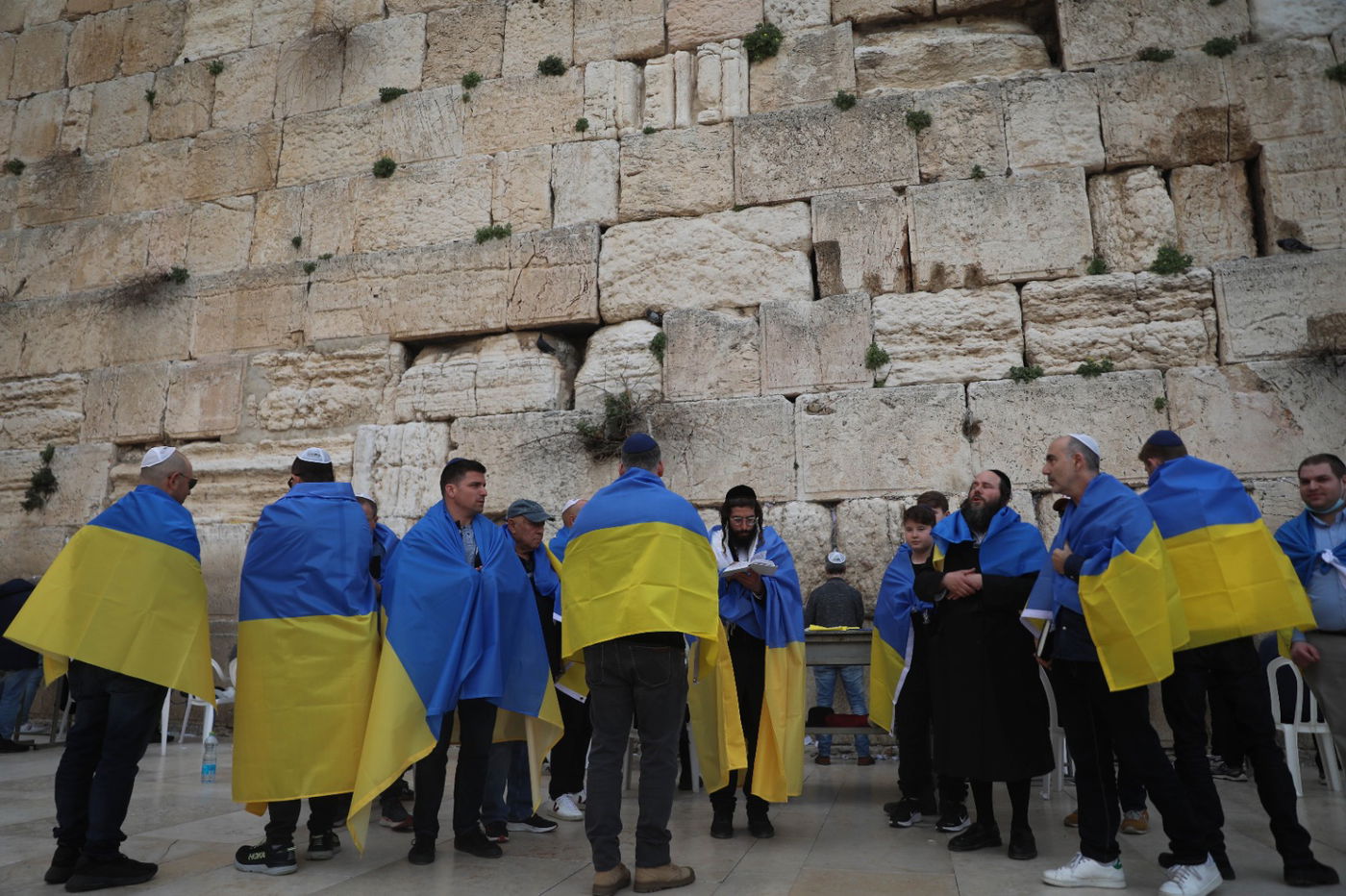 שגריר אוקראינה וחסידי ברסלב בתפילה בכותל • תיעוד
