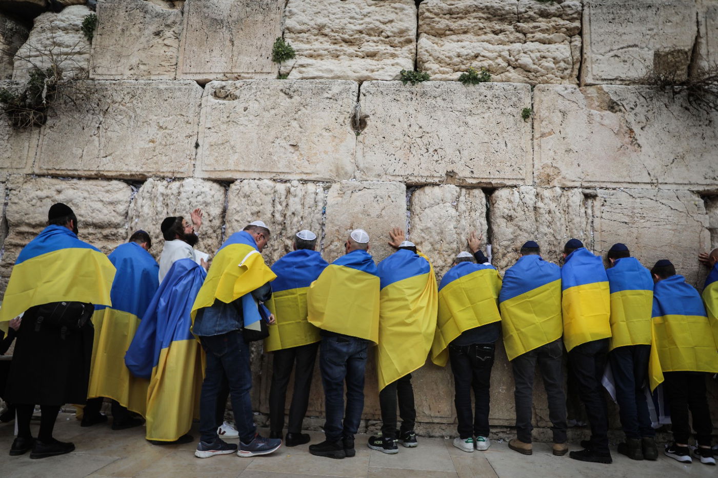 שגריר אוקראינה וחסידי ברסלב בתפילה בכותל • תיעוד