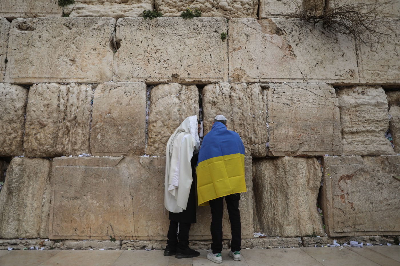 שגריר אוקראינה וחסידי ברסלב בתפילה בכותל • תיעוד