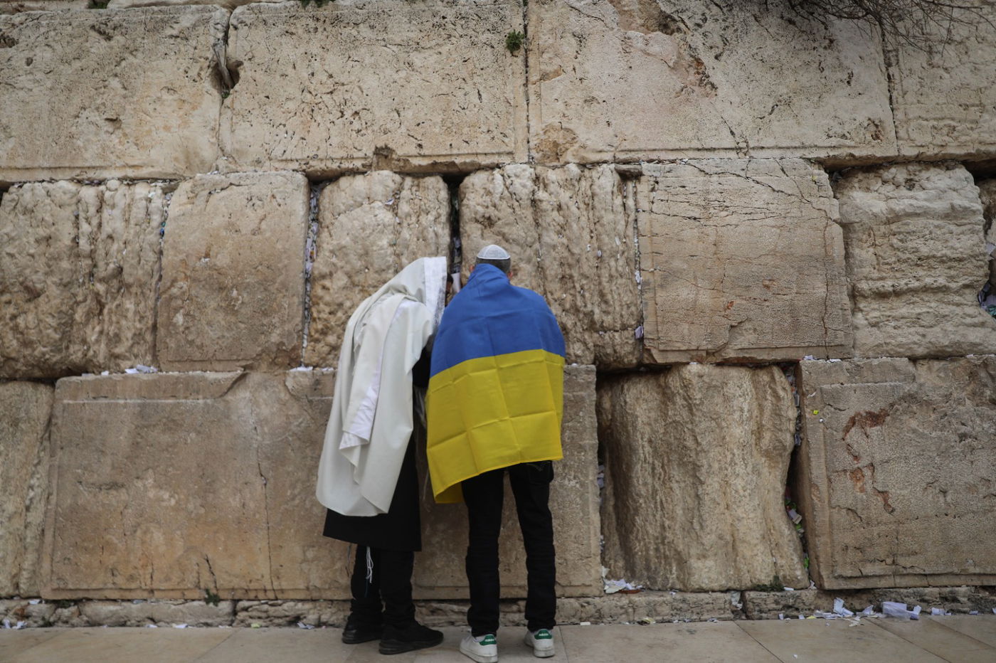 שגריר אוקראינה וחסידי ברסלב בתפילה בכותל • תיעוד