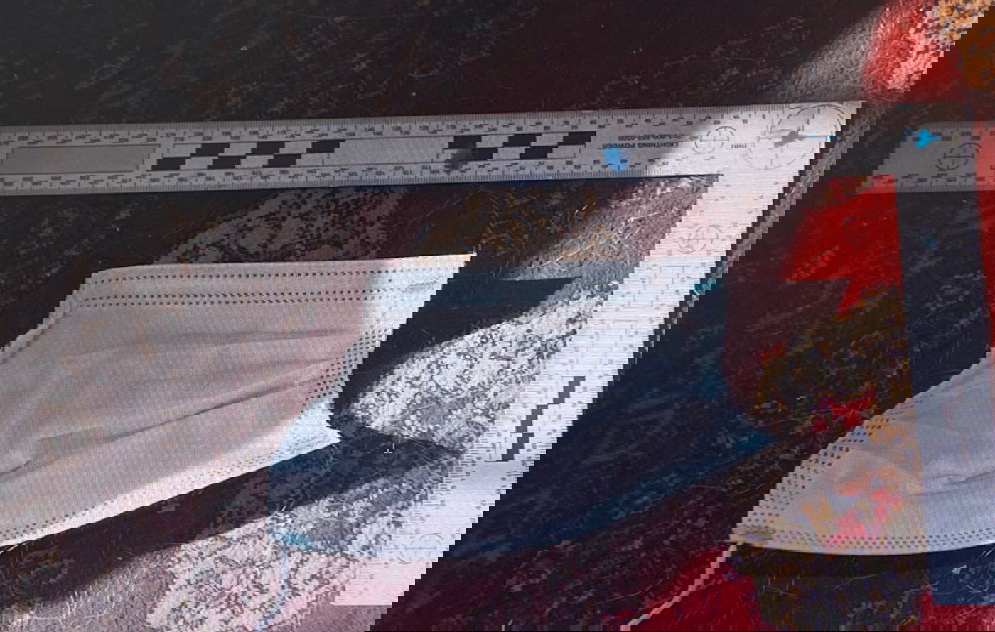 המסכה שנתפסה