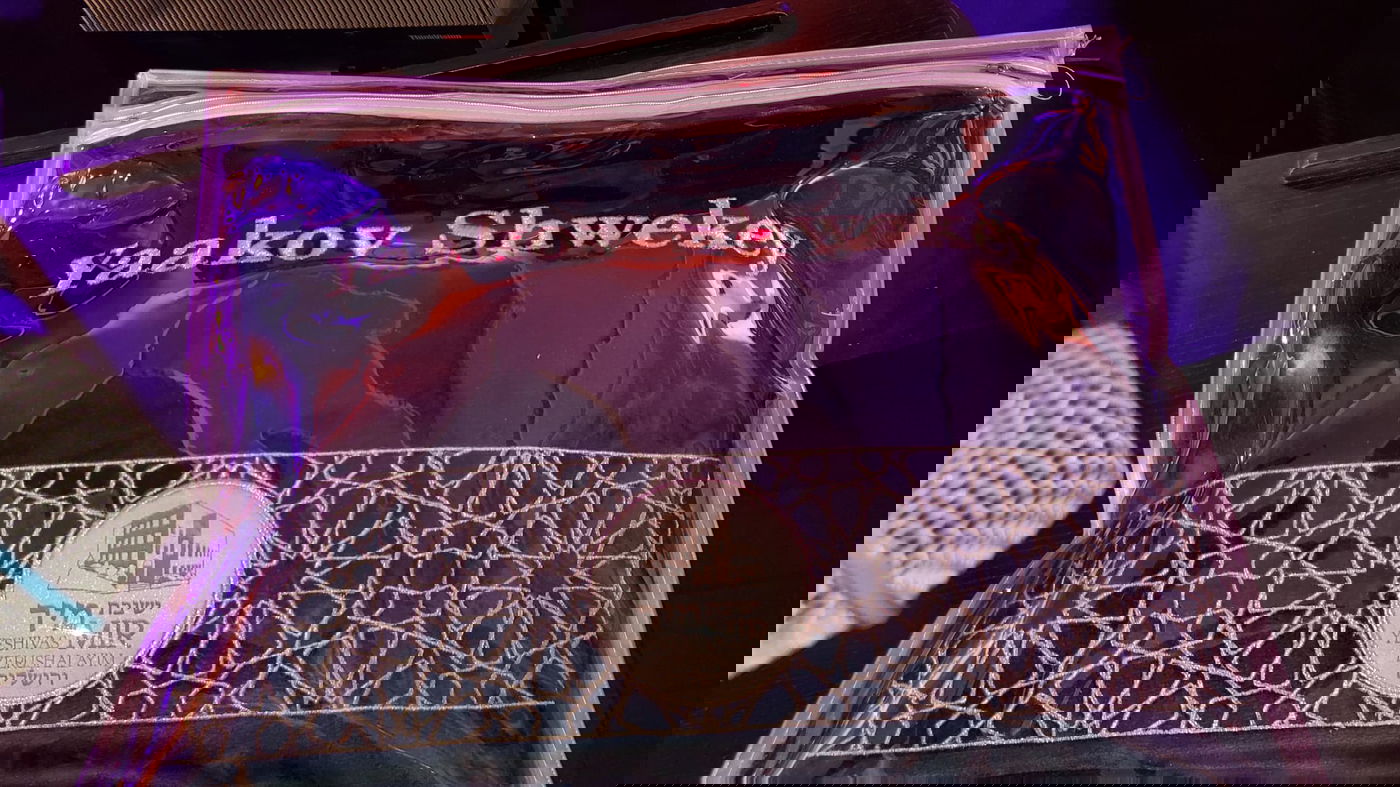 זופניק בכיכר • כל התמונות והנייעס של השבוע