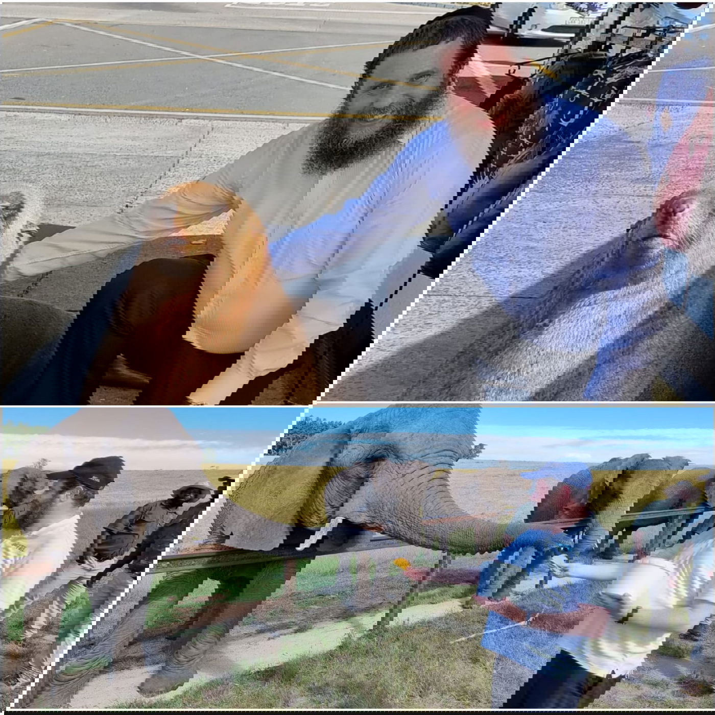 זופניק בכיכר • כל התמונות והנייעס של השבוע