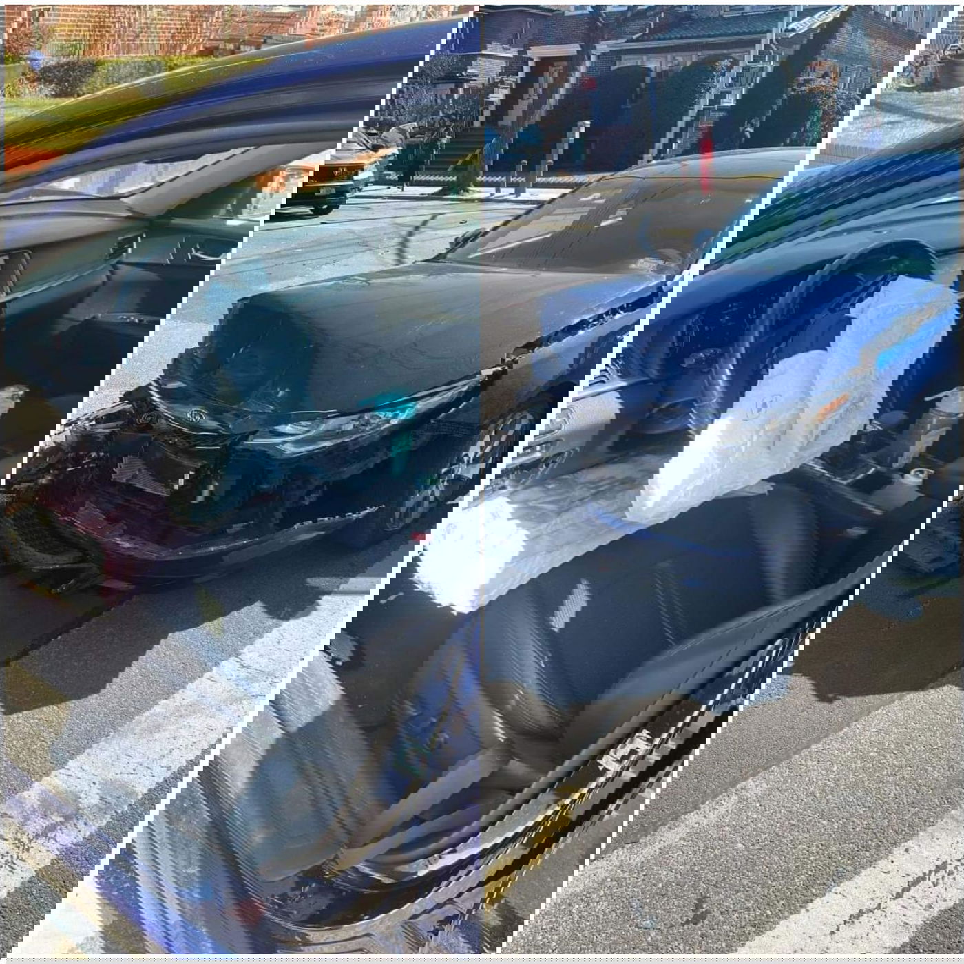 זופניק בכיכר • כל התמונות והנייעס של השבוע