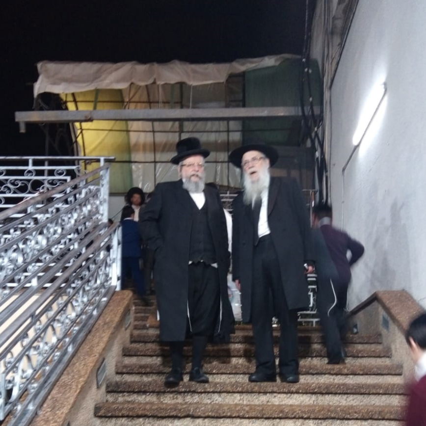 זופניק בכיכר • כל התמונות והנייעס של השבוע