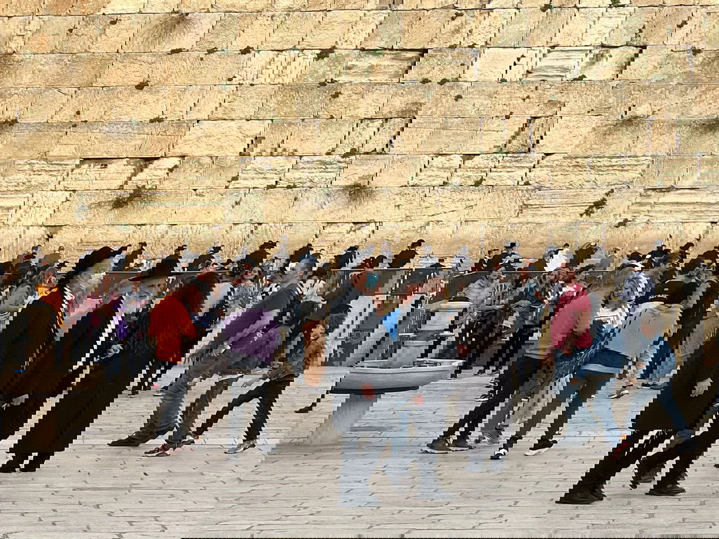 זופניק בכיכר • כל התמונות והנייעס של השבוע