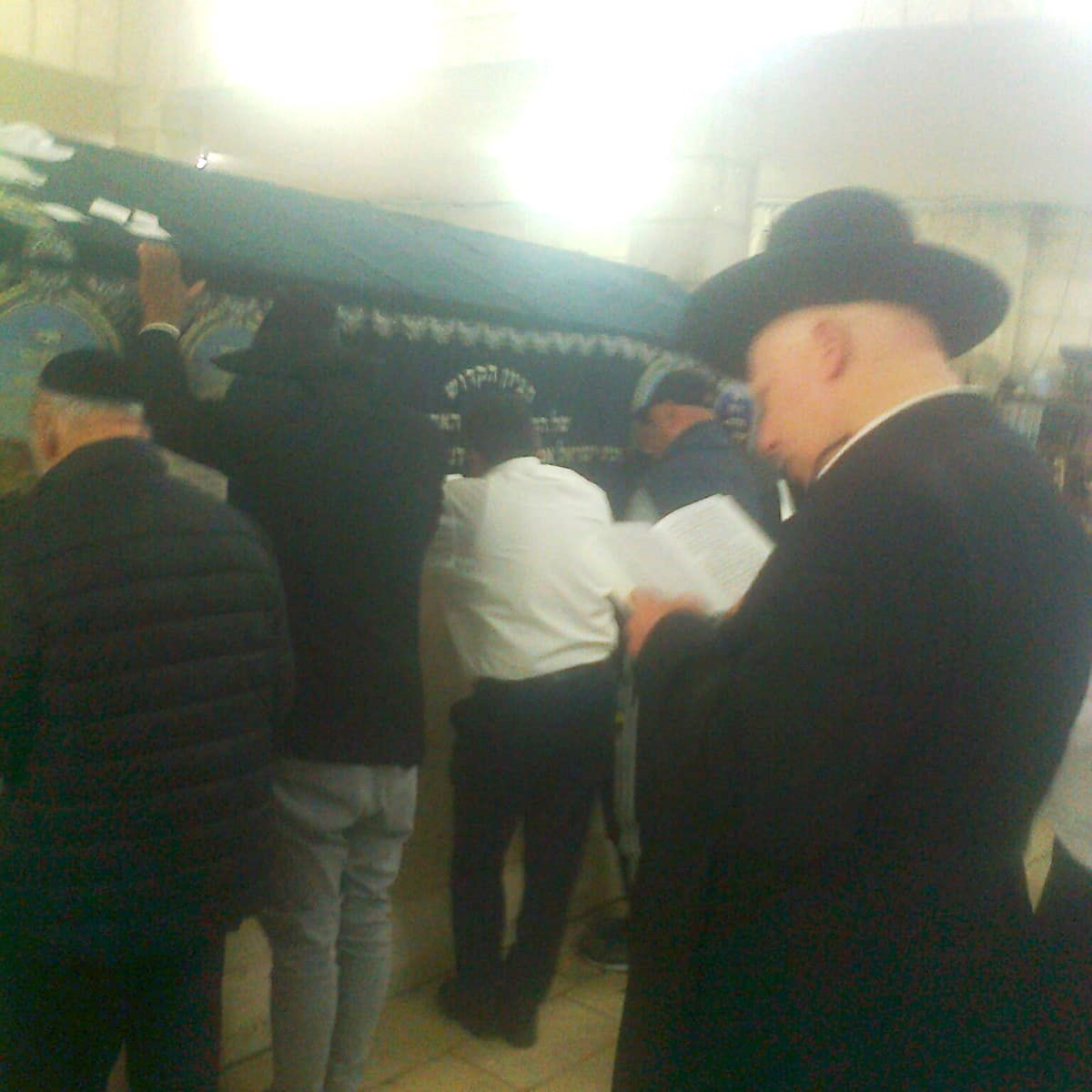 זופניק בכיכר • כל התמונות והנייעס של השבוע