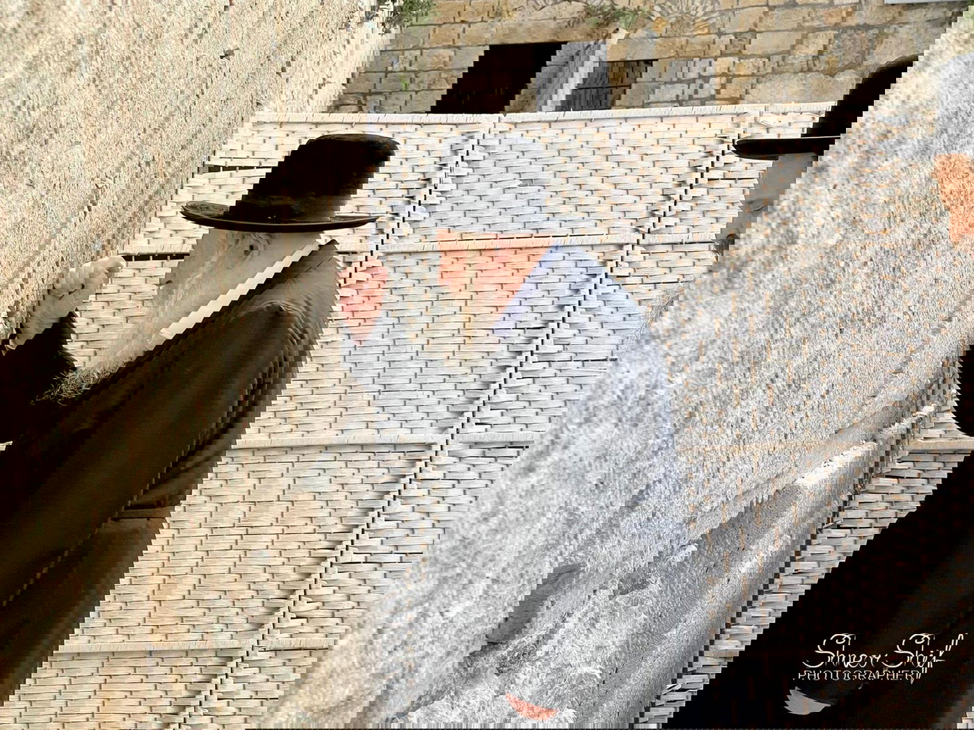 האדמו"ר מגור הגיע לכותל והתפלל על יהודי אוקראינה