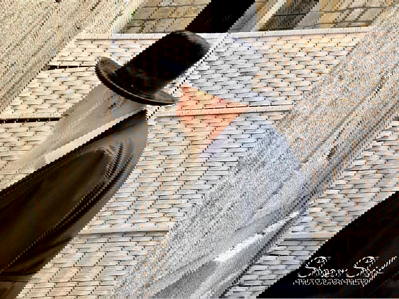 האדמו"ר מגור הגיע לכותל והתפלל על יהודי אוקראינה