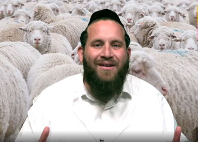 צוללים לפסוקי פרשת השבוע: תכנית לילדים