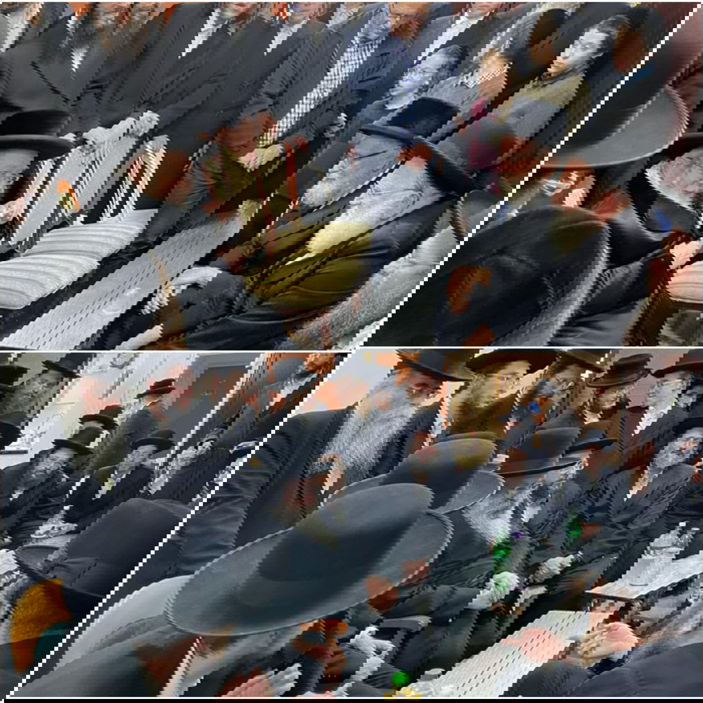 זופניק בכיכר • כל התמונות והנייעס של השבוע