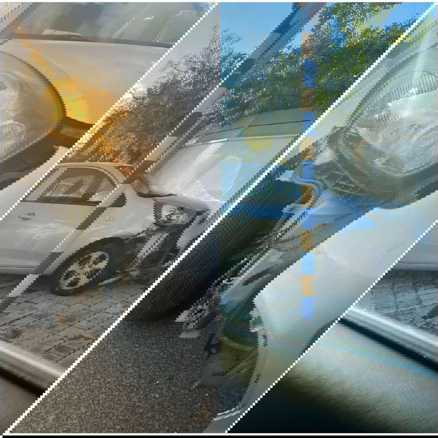 זופניק בכיכר • כל התמונות והנייעס של השבוע