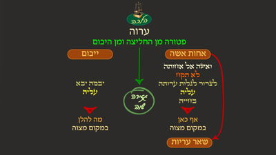 יבמות ד' • סיכום והמחשה של הדף היומי