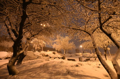 שלג בירושלים