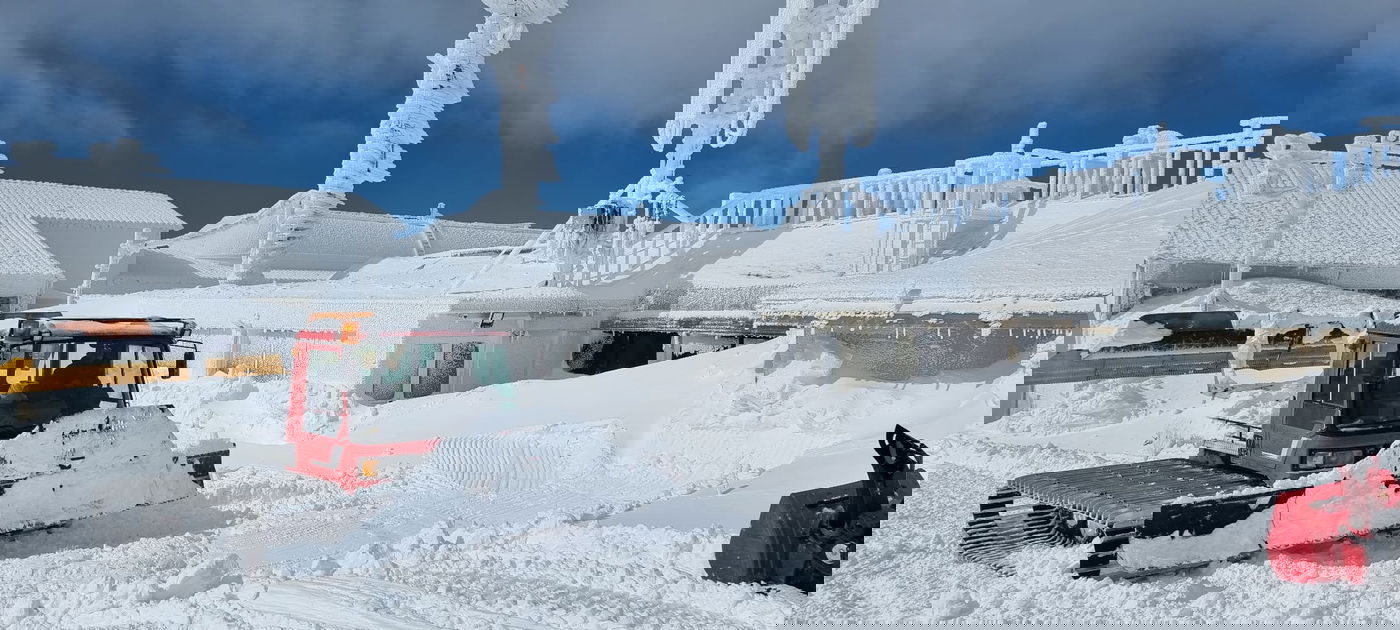 הר החרמון התחפש ללבן: תיעוד שלגי מרהיב • צפו