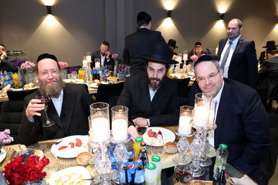 חגיגת השב ברכות