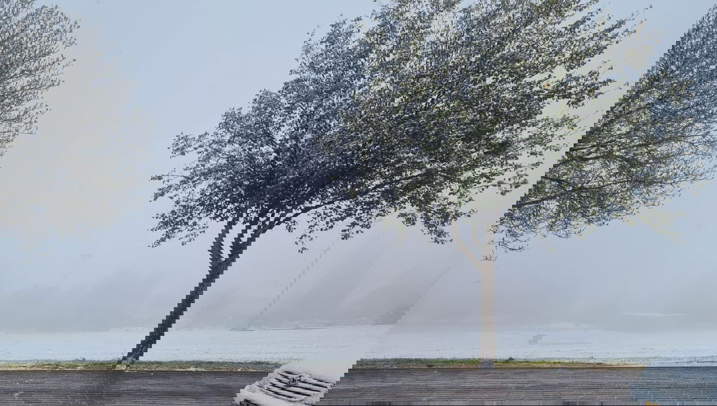 היישוב עפרה מכוסה בלבן.