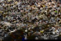 שיכורים על הפארנצ'ס: פורים בתולדות אהרן