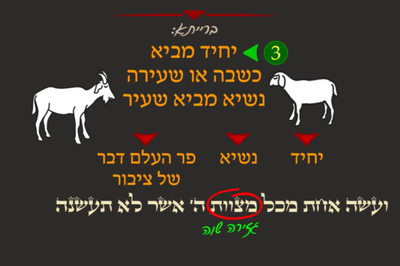 יבמות ט' • סיכום והמחשה של הדף היומי