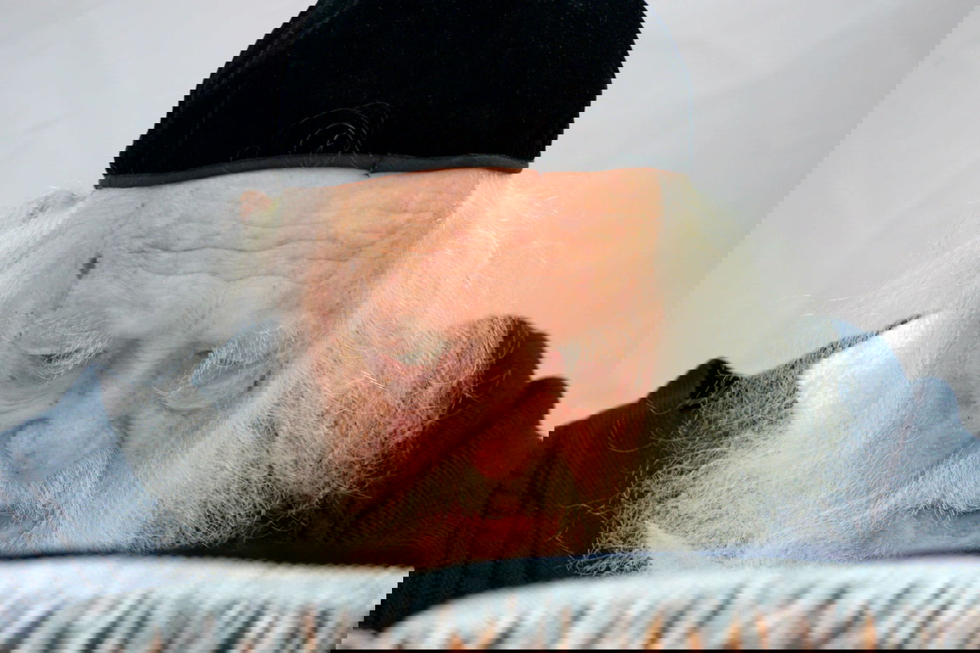 בלימוד, בחגים ובשמחות; מרן הגר"ח מבעד לעדשת המצלמה