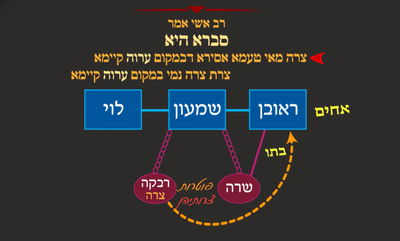 יבמות י"ג • סיכום והמחשה של הדף היומי