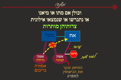 יבמות י"ב • סיכום והמחשה של הדף היומי