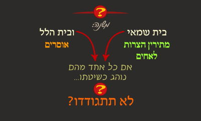 יבמות י"ד • סיכום והמחשה של הדף היומי