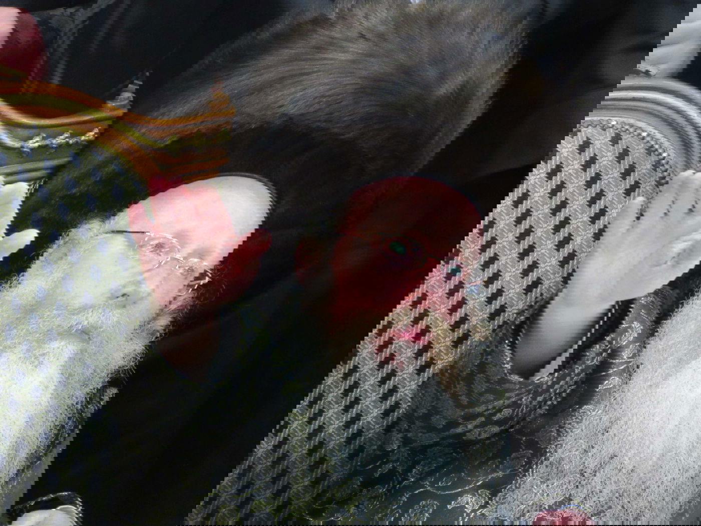 האדמו"ר רקד על השולחן; פורים בקרעטשניף קרית גת