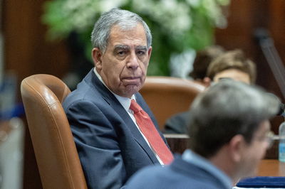 מיקי לוי בכנסת